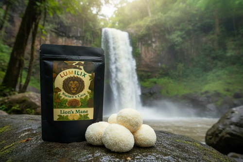 Lion's Mane at Lone Creek Falls